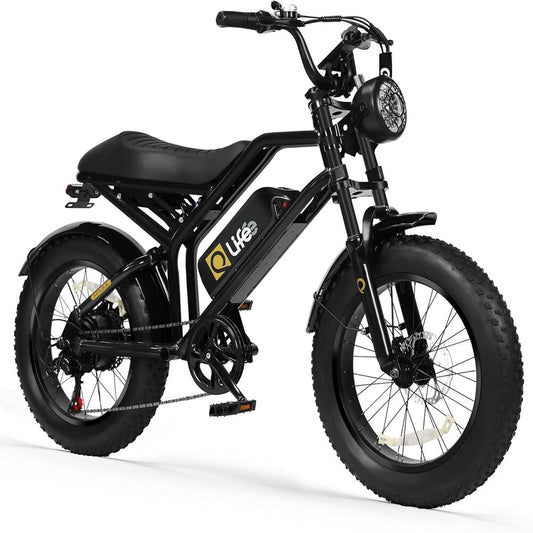 Qlife Electric Bike for Adults