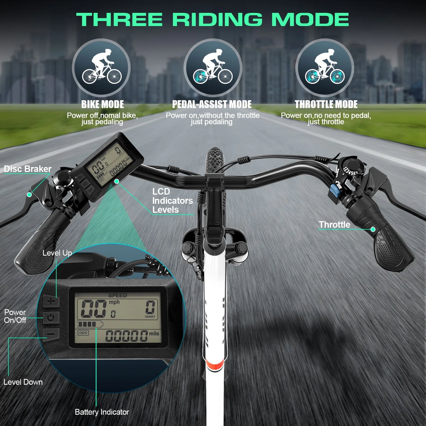 Qlife Electric Bike for Adults